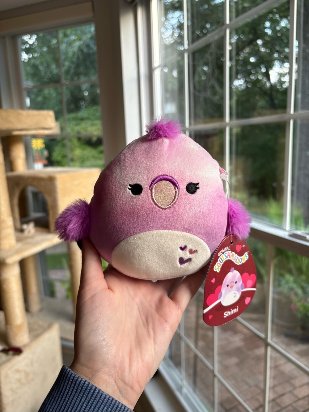 Shimi the Squishmallow Pink Purple and Cream parrot valentines edition NWT 5in